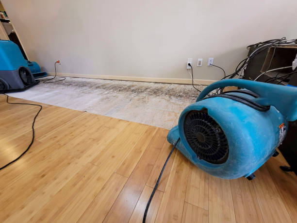 Professional Basement Flood Cleanup technician working in Lake George, CO